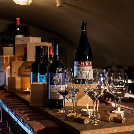 エンジアディーナ ホテル ツオウ